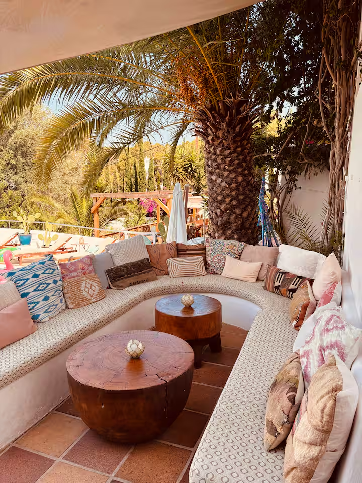 Shaded cushioned lounge beneath a palm tree