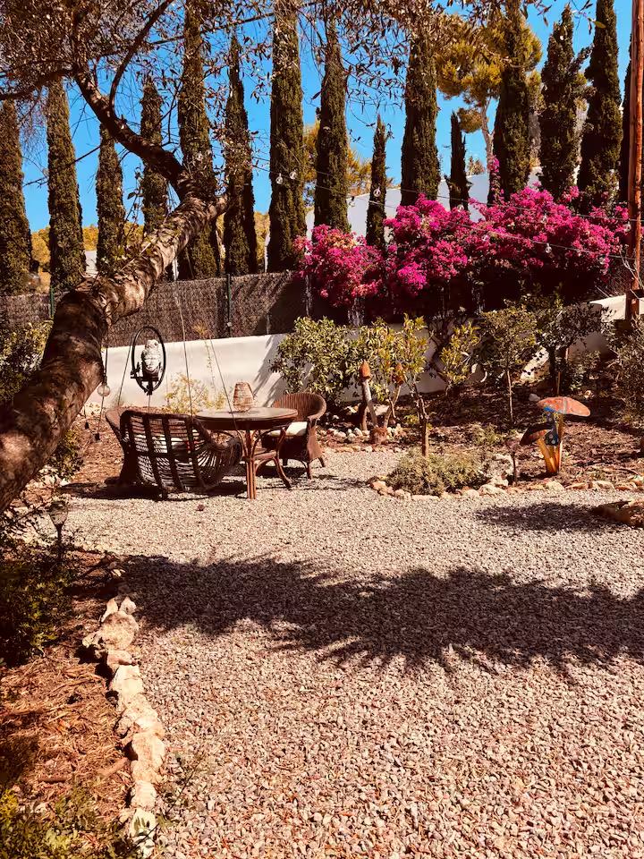 Gravel garden seating under pines and bougainvillea